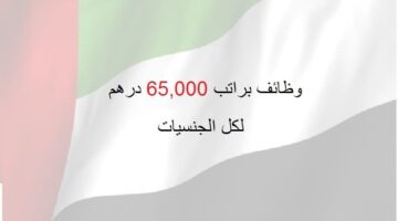 وظائف في دبي براتب 65,000 درهم لكل من الذكور والاناث
