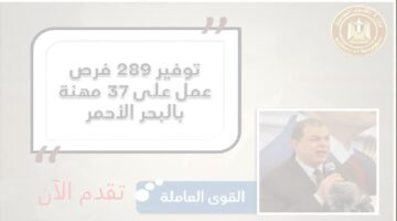 289 فرصة عمل خالية لحملة المؤهلات العليا والمتوسطة في مصر