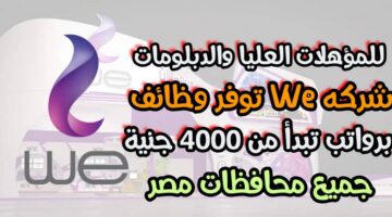 وظائف شركة المصرية للإتصالات ( WE وي ) برواتب تبدأ من 4 الآف جنية