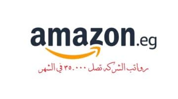 وظائف أمازون في مصر 2022 ”Amazon” للذكور والإناث في عدة تخصصات