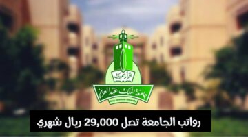 جامعة الملك عبدالعزيز توفر وظائف لحملة الكفاءة فأعلي ( رجال / نساء )