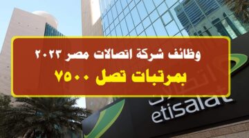 شركة اتصالات مصر توفر 8 وظائف خالية اليوم بمرتبات تصل 7500 ”قدم الأن”