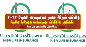 وظائف شركة مصر لتأمينات الحياة 2023 للذكور والإناث ( للتقديم من هنا )