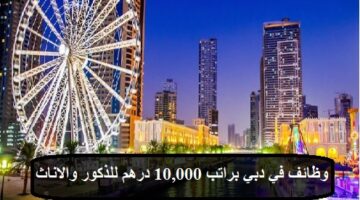 وظائف دبي اليوم براتب 10,000 درهم