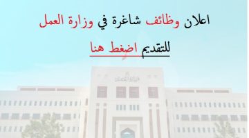 وزارة العمل بسلطنة عمان تعلن عن أكثر من 70 وظيفة حكومية لجميع العرب .. رابط التقديم هنا