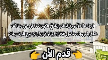 الجامعة الأمريكية الدولية في الكويت تعلن عن ( وظائف شاغرة ) برواتب تصل 1,350 دينار كويتي لجميع الجنسيات