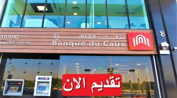 بنك القاهرة يعلن فتح باب التوظيف لعام 2023 براتب يصل 10,000 – 12,500 “قدم الان”