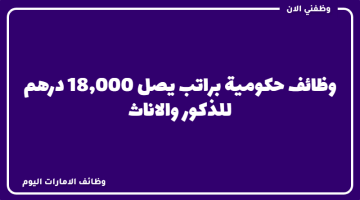 وظائف حكومية للجنسيات العربية براتب يصل 18,000 درهم