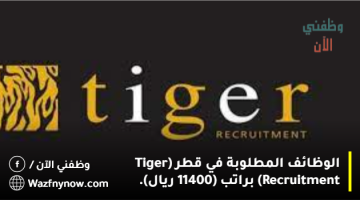 الوظائف المطلوبة في قطر (Tiger Recruitment) براتب (11400 ريال).