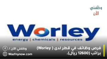 فرص وظائف في قطر لدى ( Worley) براتب (12600 ريال). 8