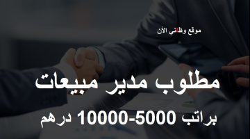 وظائف مدير مبيعات براتب يصل 10،000 درهم 13