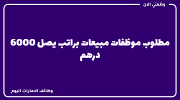 وظائف مبيعات براتب يصل 6000 درهم لدى شركة صينية في دبي 6