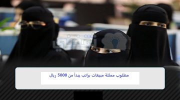 مطلوب ممثلة مبيعات براتب يبدأ من 5000 ريال 12