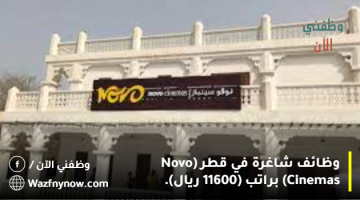 وظائف شاغرة في قطر (Novo Cinemas) براتب (11600 ريال). 11