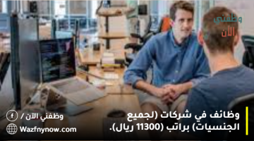 وظائف في شركات (لجميع الجنسيات) براتب (11300 ريال). 12