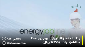 وظائف قطر للبترول اليوم (Energy Jobline) براتب (12250 ريال). 13