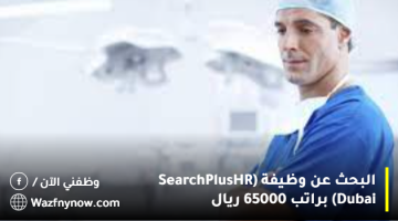 البحث عن وظيفة (SearchPlus HR Dubai) براتب 65000 ريال 13