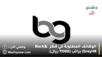 الوظائف المطلوبة في قطر (Black & Grey HR) براتب (11000 ريال).