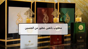 مطلوب بائعين عطور من الجنسين بشركة إبراهيم القرشي 14