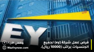 فرص عمل شركة (ey) لجميع الجنسيات براتب (11000 ريال). 13