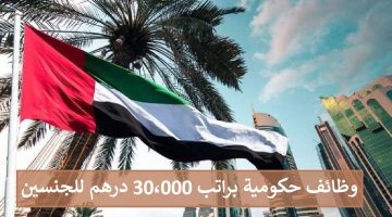 براتب 30،000 درهم - وظائف حكومية في الامارات للذكور والاناث 9