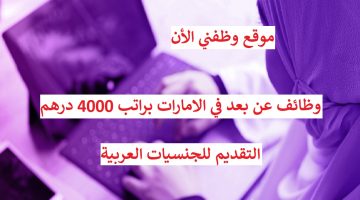 وظائف عن بعد في الامارات براتب 4000 درهم 17