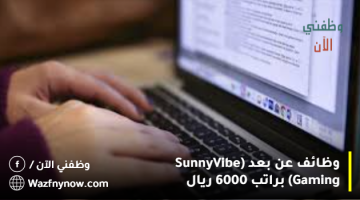 وظائف عن بعد (Sunny Vibe Gaming) براتب 6000 ريال 16