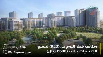 وظائف قطر اليوم في (KEO) لجميع الجنسيات براتب (11500 ريال).