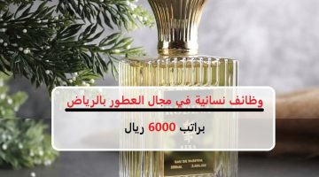 شركة عطور كباء تعلن وظائف نسائية في مجال المبيعات براتب 6000 ريال 7