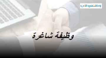 مطلوب Customer Service Executive براتب 8000 درهم 1