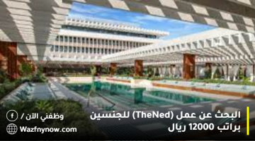 البحث عن عمل (The Ned) للجنسين براتب 12000 ريال 17