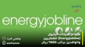 عروض عمل في قطر (Energy Jobline) براتب 11600 ريال