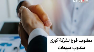 وظائف مندوب مبيعات براتب 10،000 درهم لحملة الثانوية 25