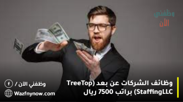 وظائف الشركات عن بعد (Tree Top Staffing LLC) براتب 7500 ريال