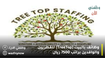 وظائف بالبيت (Tree Top) للقطريين والوافدين براتب 7500 ريال 10