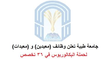 جامعة طيبة تعلن وظائف معيدين (للرجال / النساء) بكافة التخصصات 3