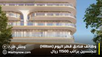 وظائف في فنادق قطر (Hilton) للجنسين براتب 11500 ريال 4