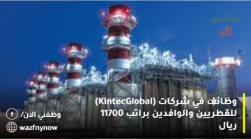 وظائف في شركات (Kintec Global) للقطريين والوافدين براتب 11700 ريال 16