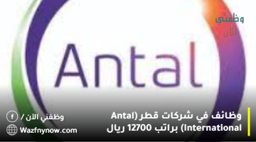 وظائف في شركات قطر (Antal International) براتب 12700 ريال 13