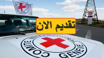 وظائف الصليب الأحمر 2024 في مصر بمختلف التخصصات براتب خرافي