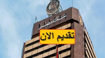 وظائف شاغرة بنك مصر 2023 لحديثي التخرج في كافة المحافظات
