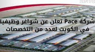 شركة Pace تعلن عن شواغر وظيفية في الكويت 21