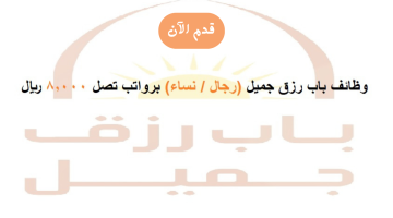 شركة باب رزق جميل تعلن (480) وظيفة شاغرة برواتب تصل 8,000 ريال 14