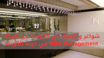 شواغر وظيفية في الكويت لدى شركة NOX Management في دولة الكويت 18