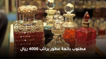 مطلوب بائعة عطور براتب 4000 ريال 12