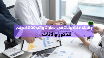 مطلوب بشكل عاجل في الامارات (مدخلين بيانات) براتب 6000 درهم إماراتي 20