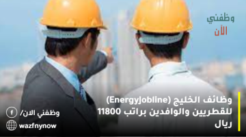 وظائف الخليج (Energy Jobline) للقطريين والوافدين براتب 11800 ريال