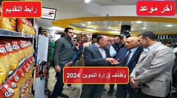اخر موعد للتقديم في وظائف وزارة التموين 2024.. رابط وشروط التقديم