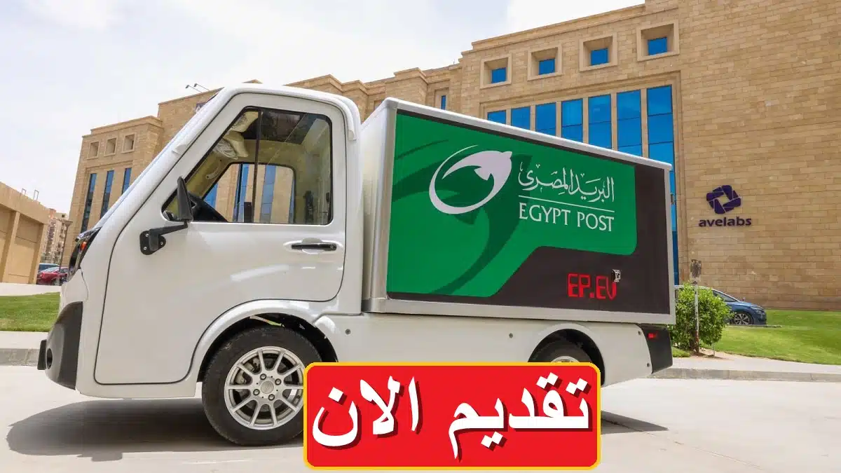 البريد المصري يطرح 1000 وظيفة شاغرة 2024 للمؤهلات العليا والخريجين 1