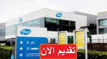 شركة فايزر (Pfizer) تطرح 9 شواغر وظيفية براتب يصل 8 آلاف جنيه 3